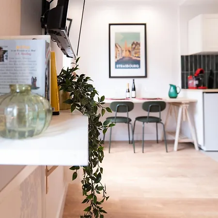 Le Cœur De - à 5min De La Cathédrale Estrasburgo